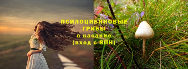твердый Алексеевка