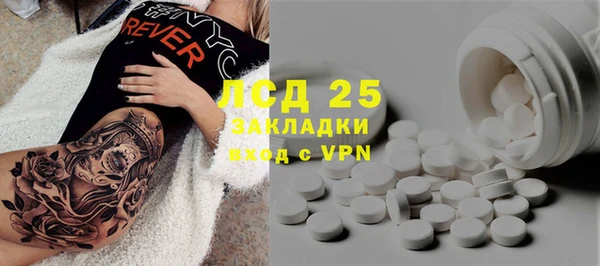 стаф Алексин