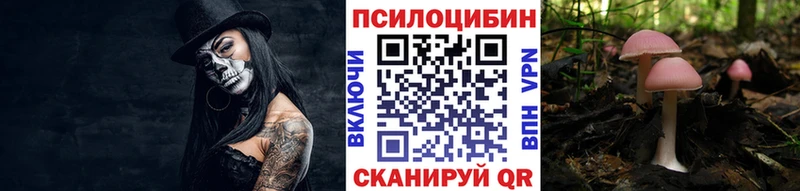 Галлюциногенные грибы Psilocybine cubensis  купить  цена  Сосновоборск 