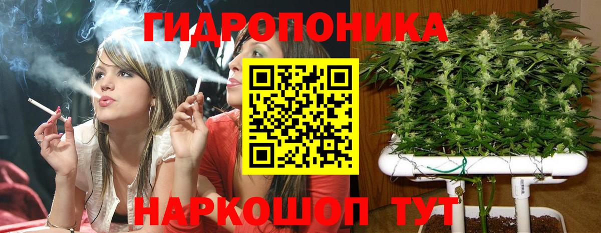 Канабис SATIVA & INDICA  МАРИХУАНА LSD WEED  Сосновоборск  Вход с VPN  Каннабис Bruce Banner 